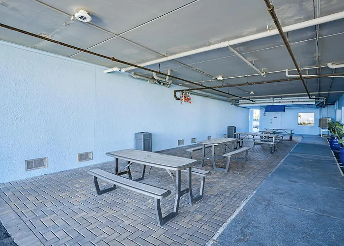 Dollar 411 Apartment