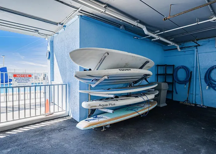 Dollar 411 * Clearwater Beach